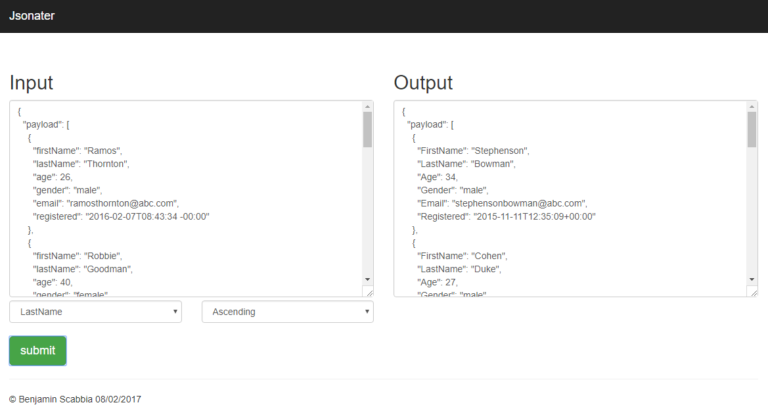 JSON Parser screen shot